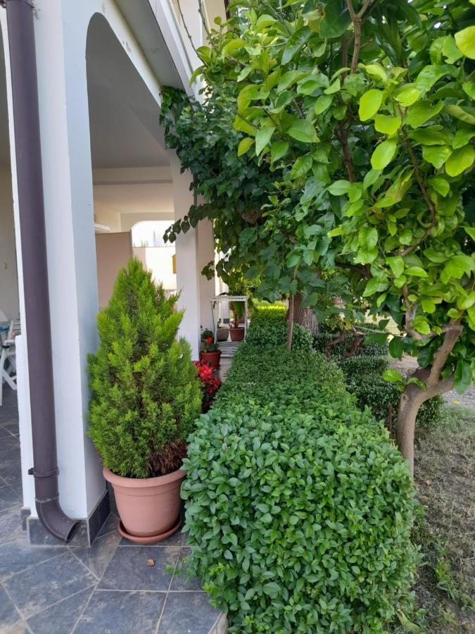 Holiday S&M Lopar Ngoại thất bức ảnh