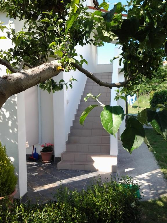 Holiday S&M Lopar Ngoại thất bức ảnh